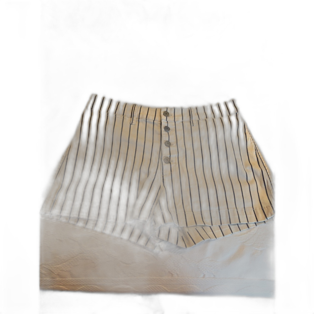 SINCERELY JULES WOMENS SHORTS
